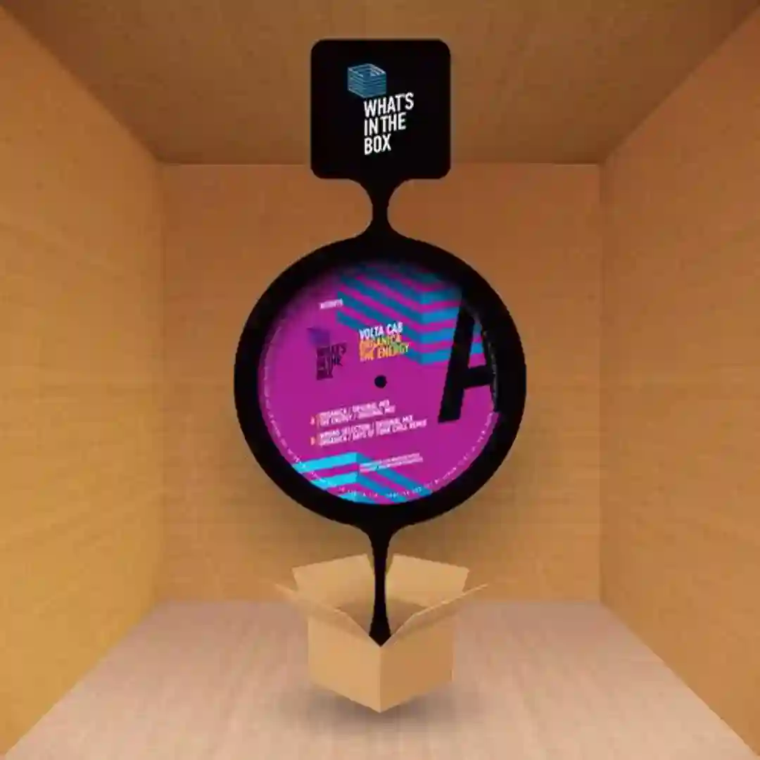 Wrong Selection cover