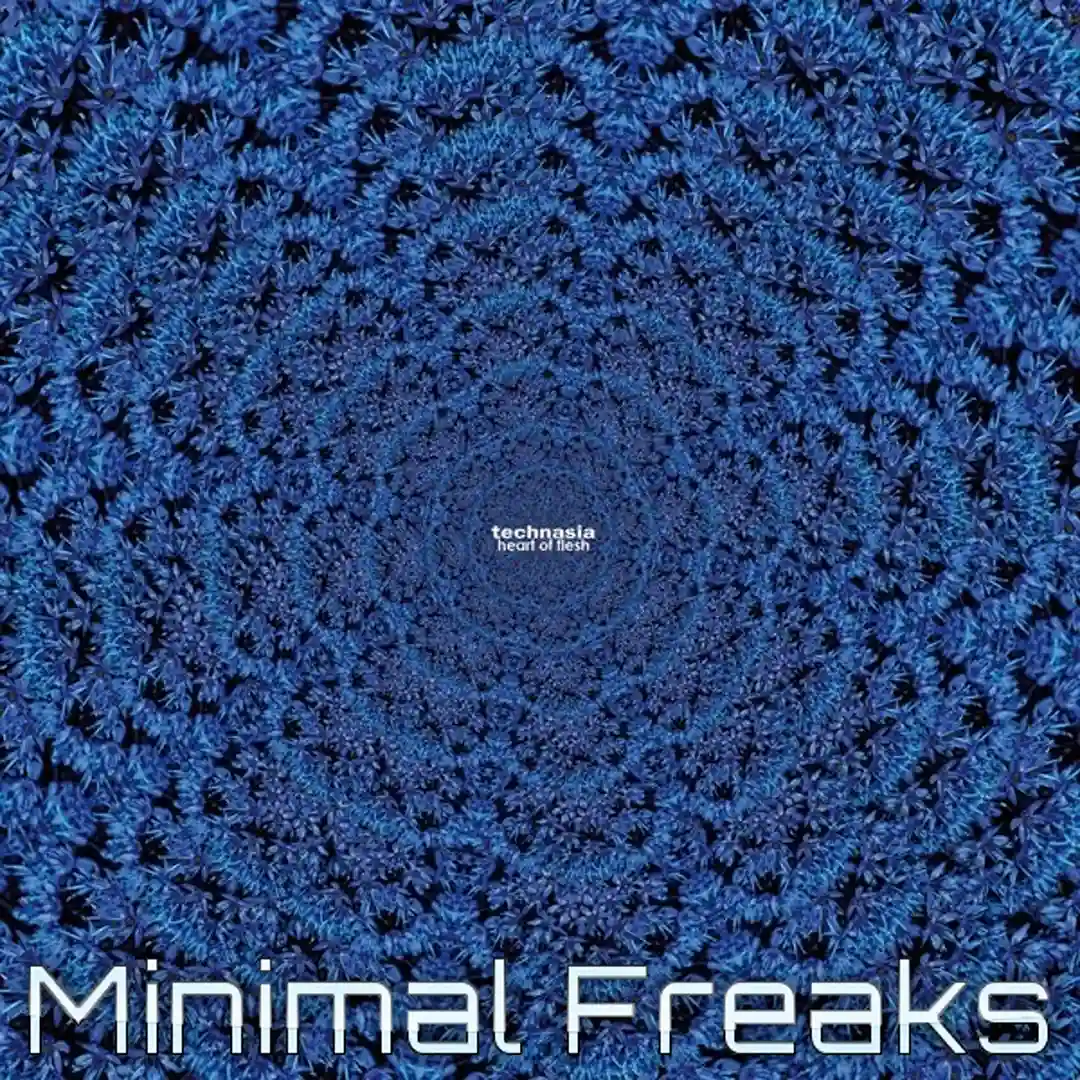 Heart Of Flesh (Original Mix) cover