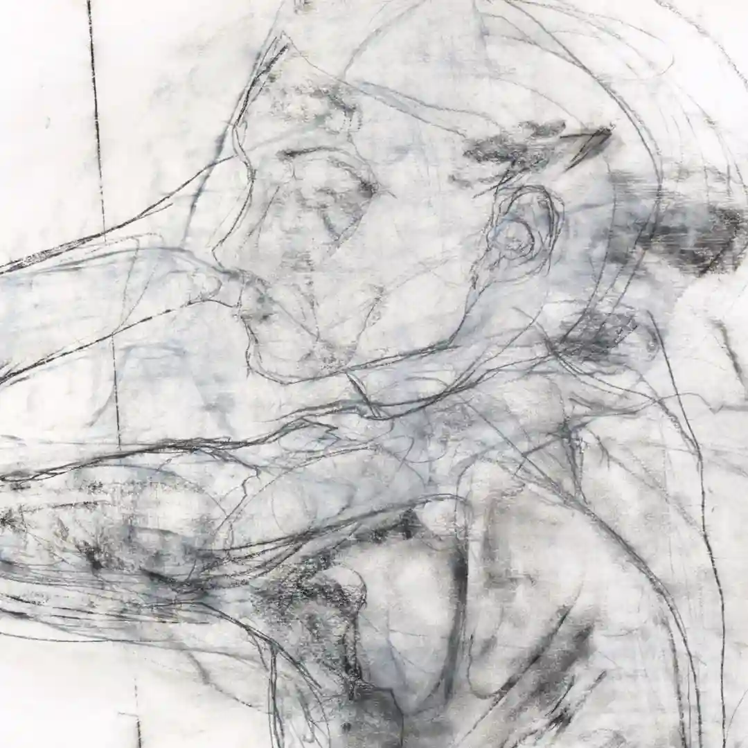 Lustration Eight (Contours) (Contours) cover