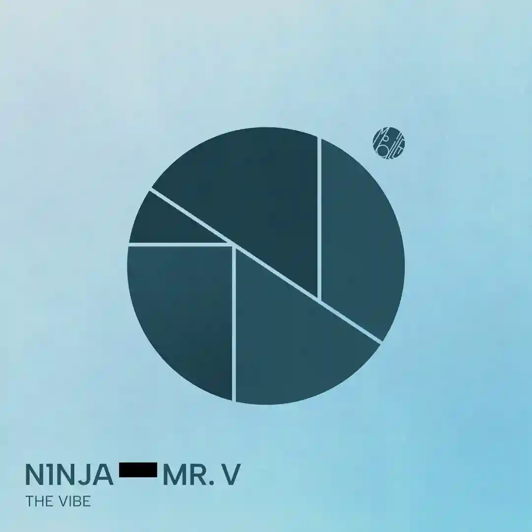 The Vibe (Extended Version) cover