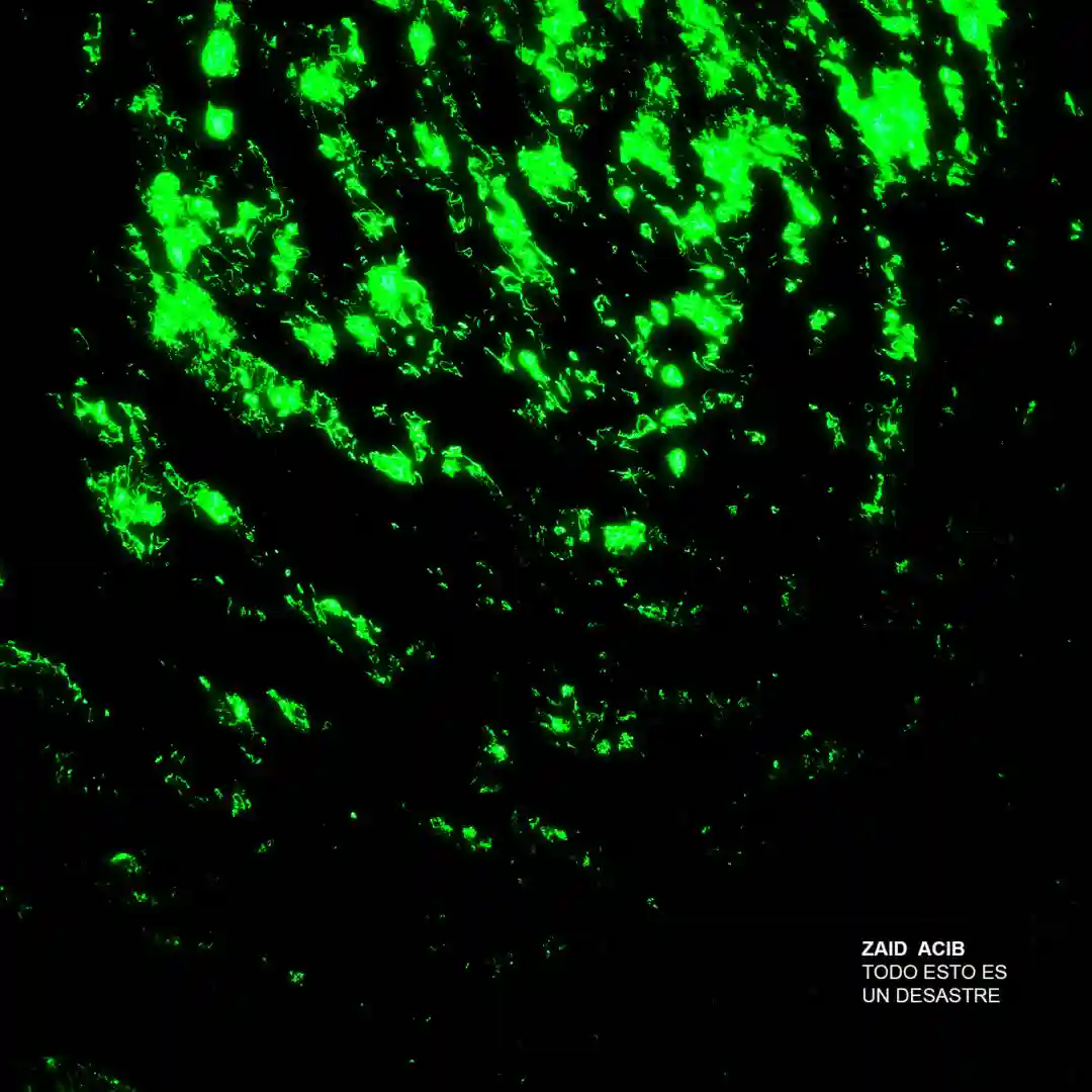 Disculpas (Original Mix) cover