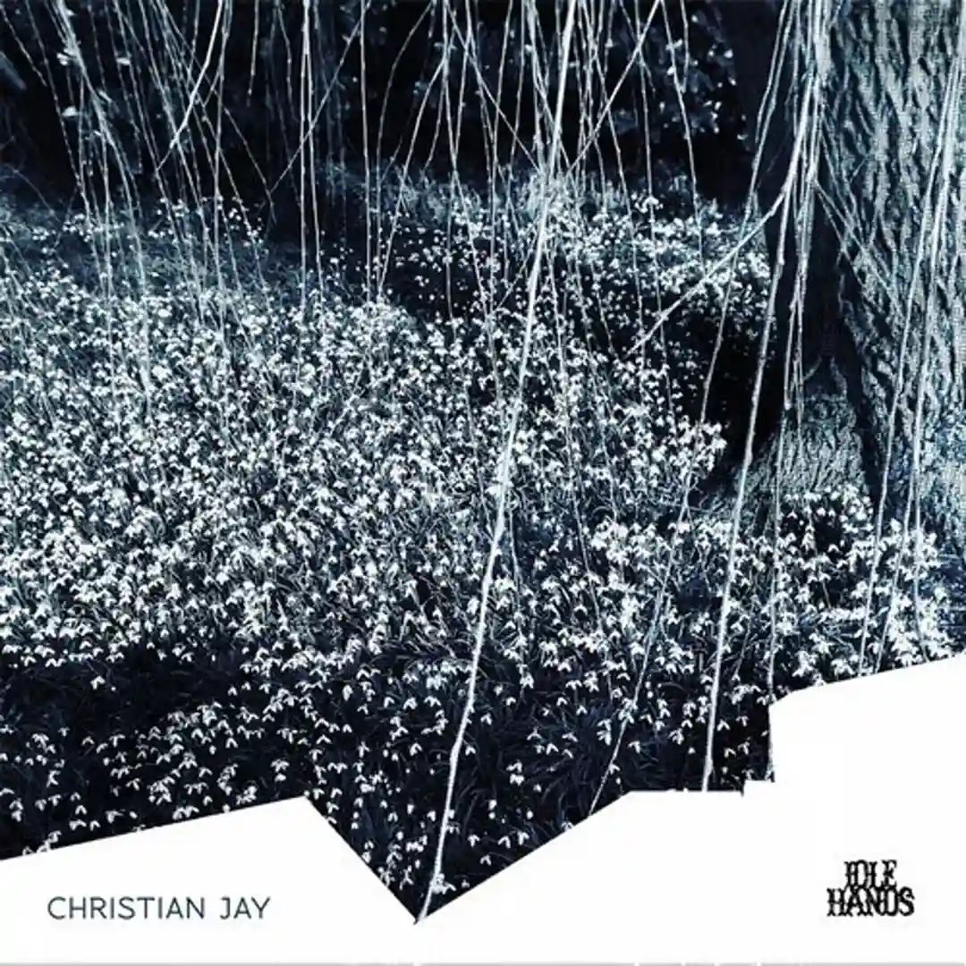 Del's Kicks (Original Mix) cover