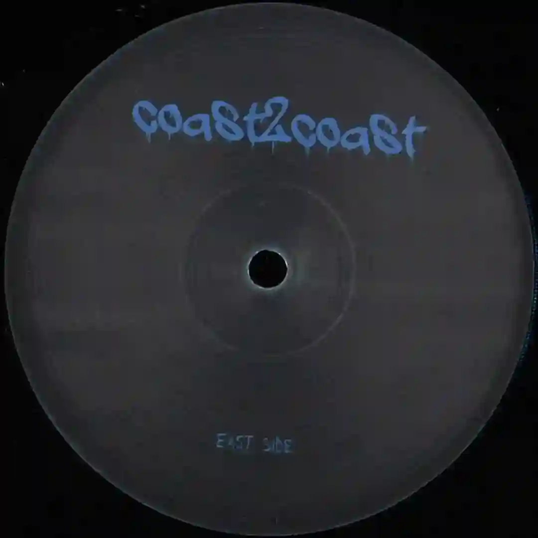 A1 LD VINYL ONLY  cover
