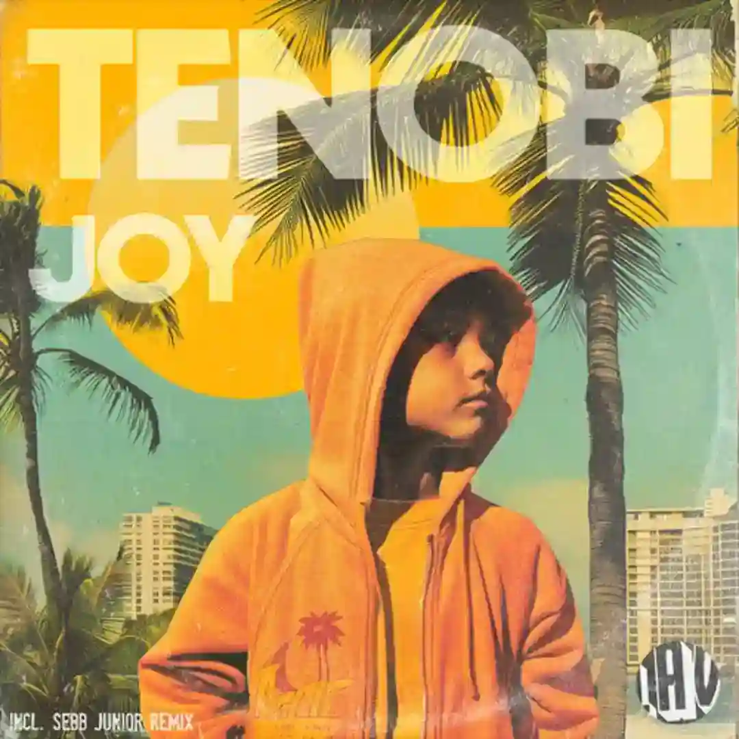 Joy (Sebb Junior Extended Remix) cover