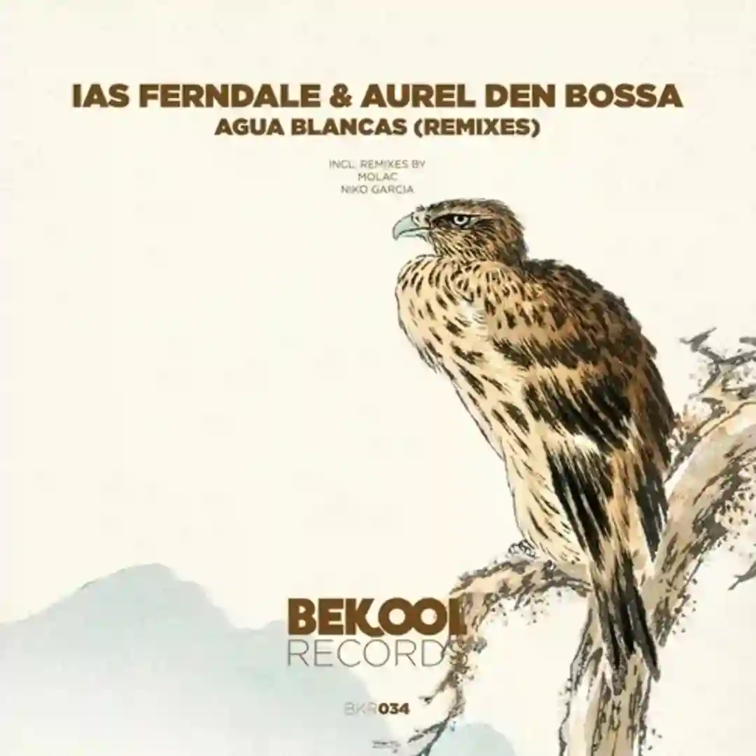 Agua Blancas (Molac Remix) cover