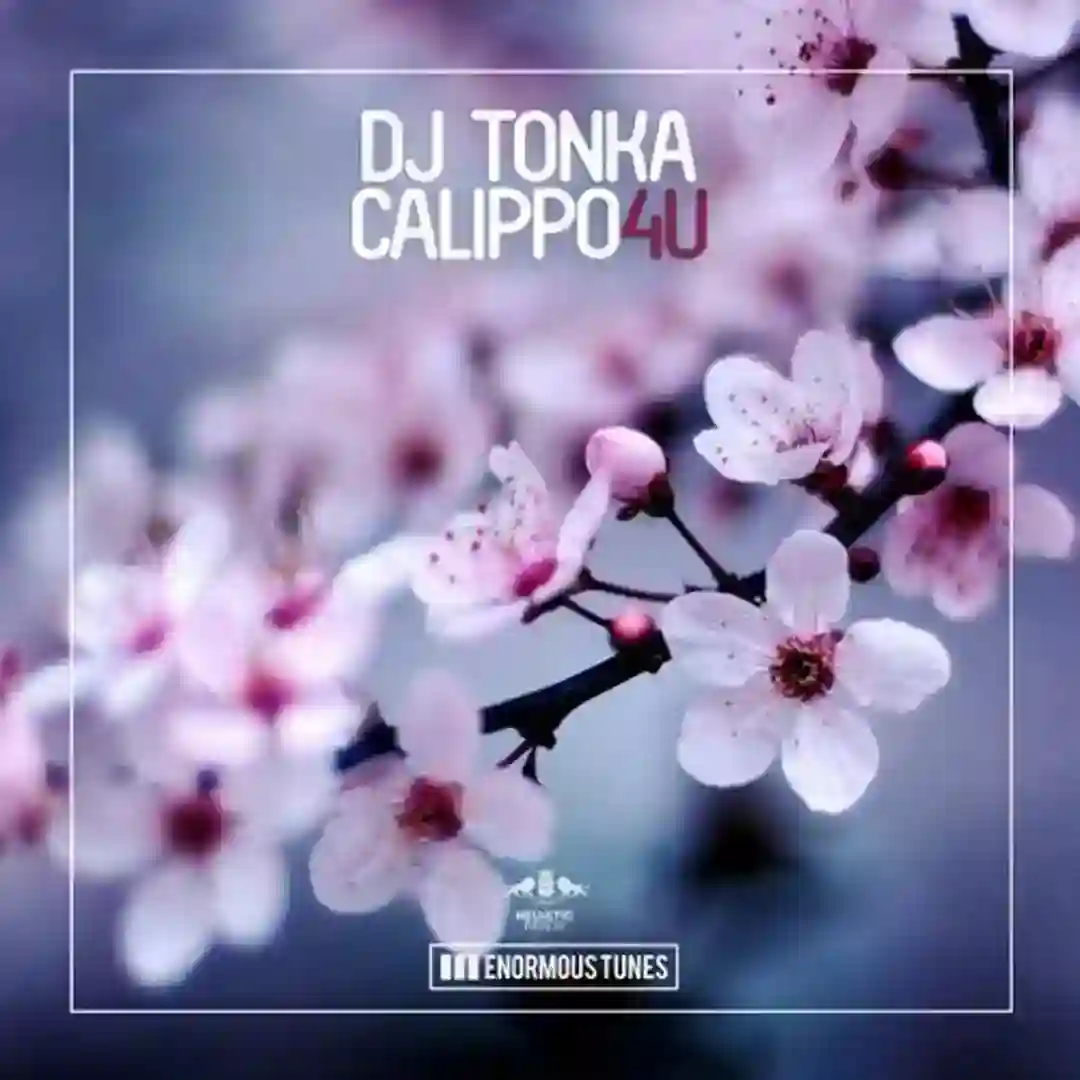 4U cover
