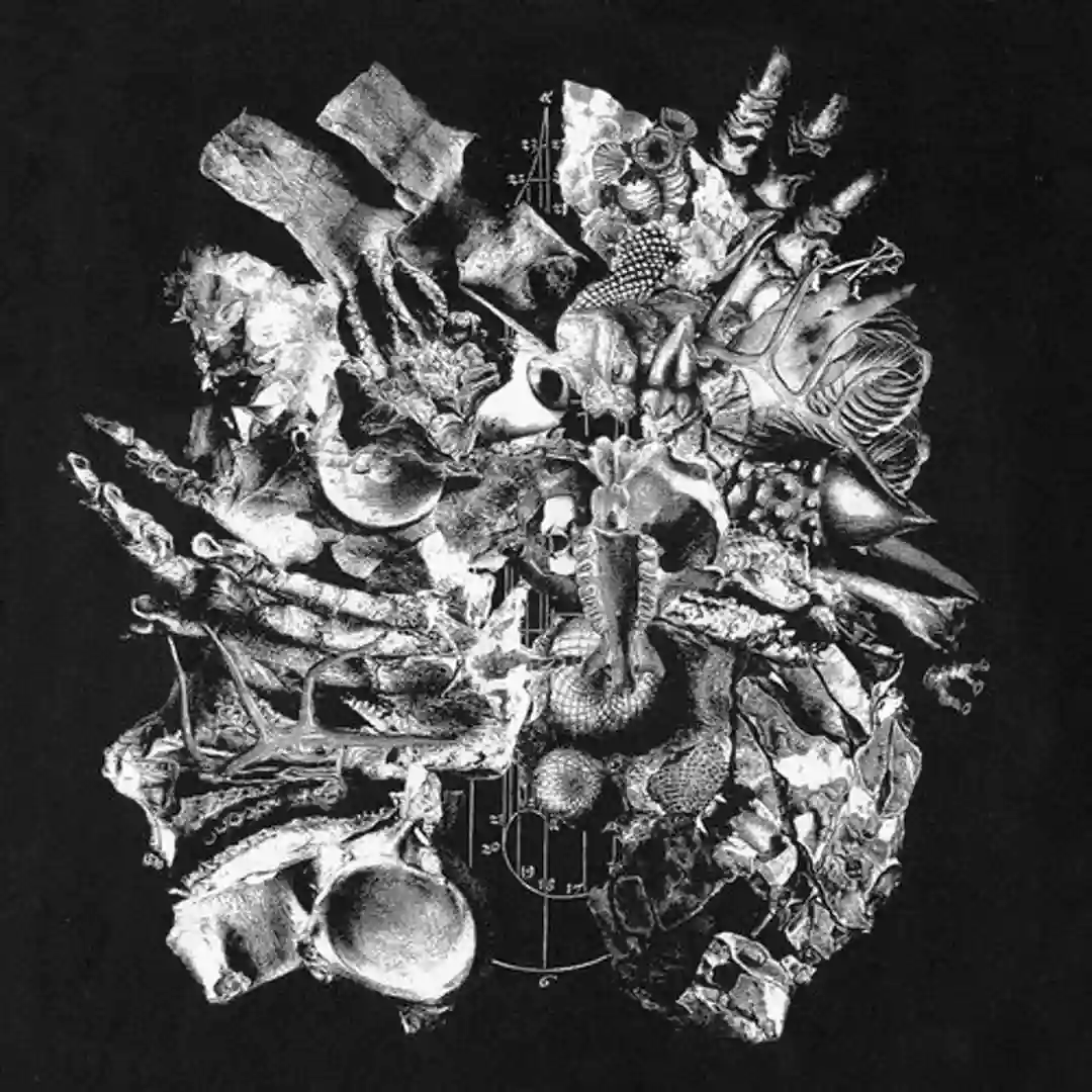 Modern Conflict Theory (Original Mix) cover