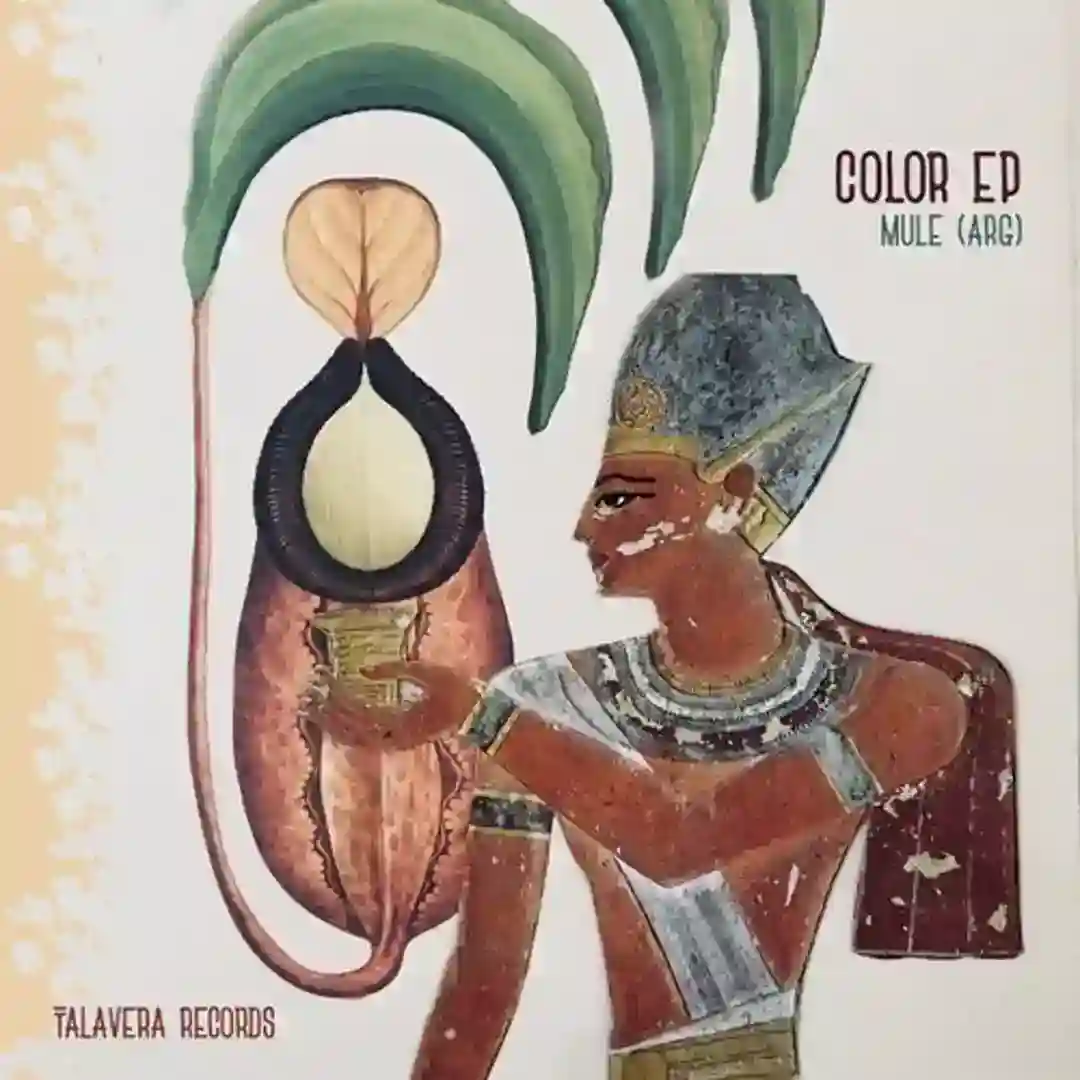Talavera Records 11 cover