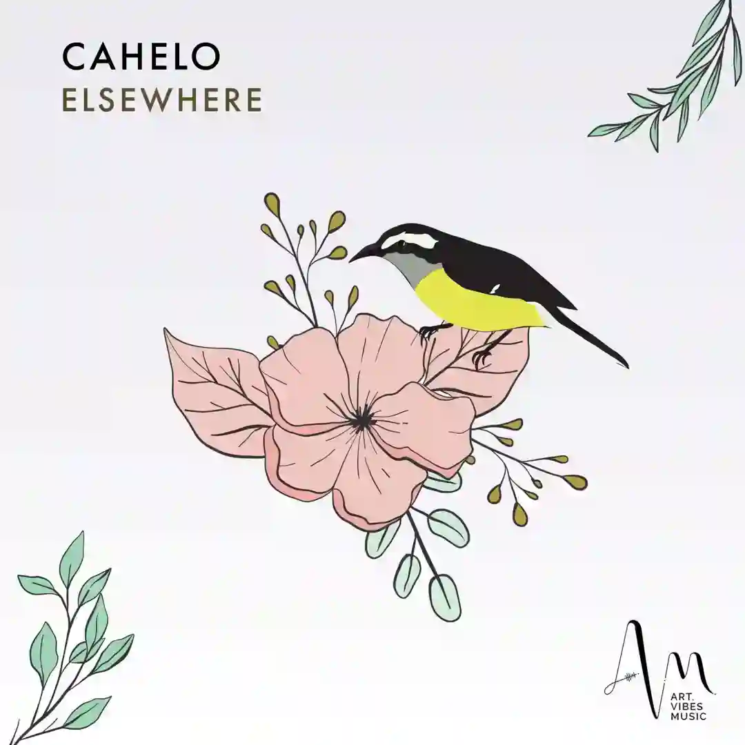Bananaquit (Extended Mix) cover