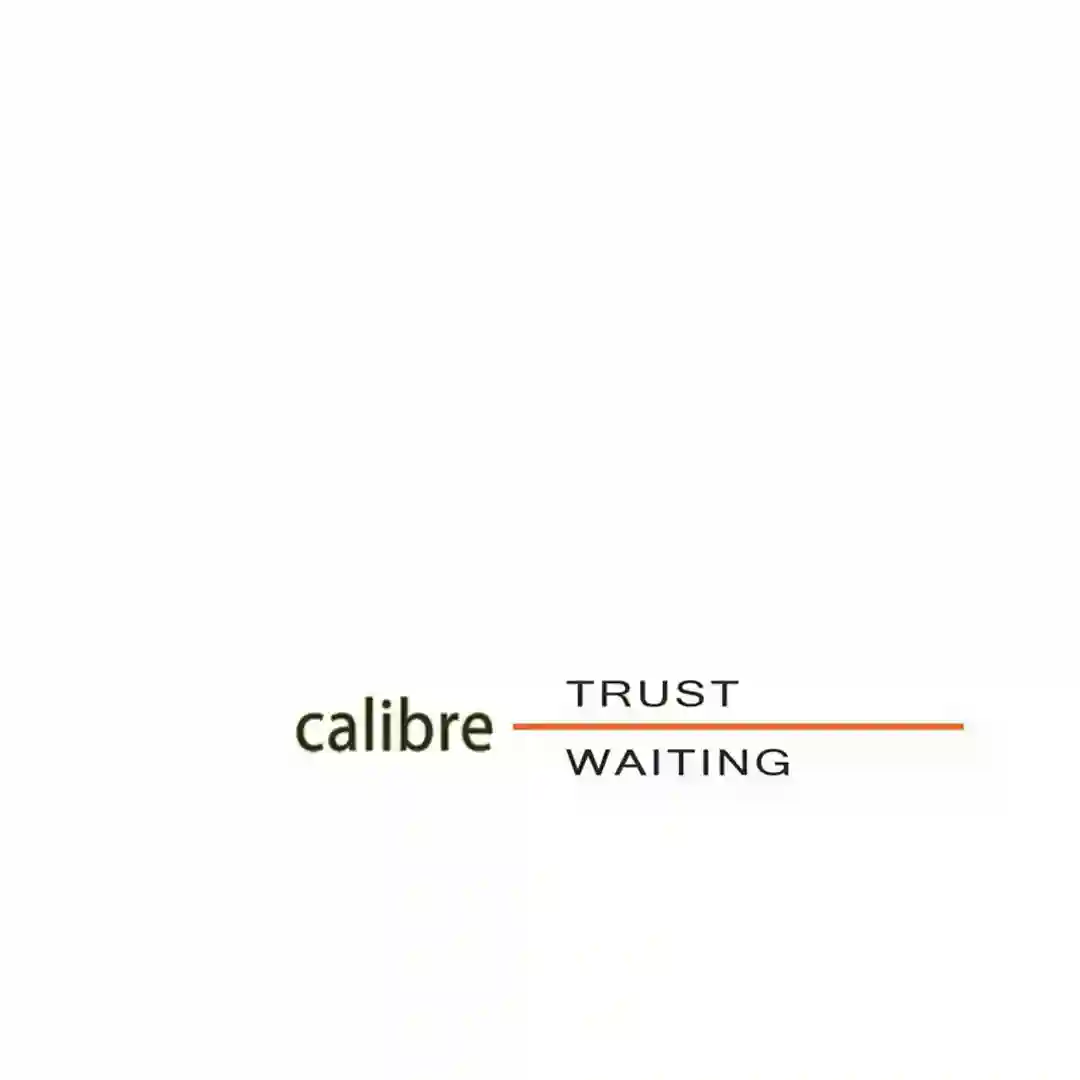 Trust (2024 Remaster) cover
