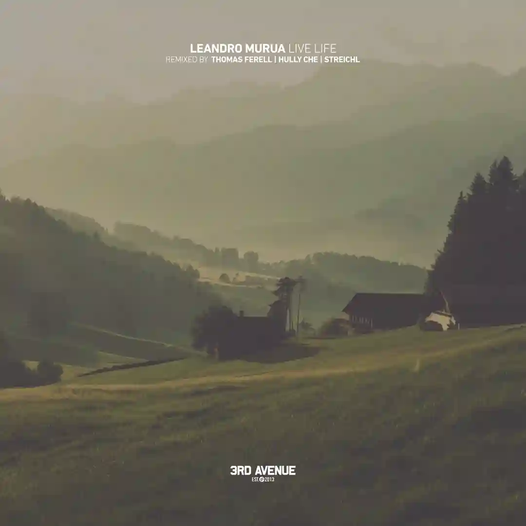Live Life (Thomas Ferell Remix) cover