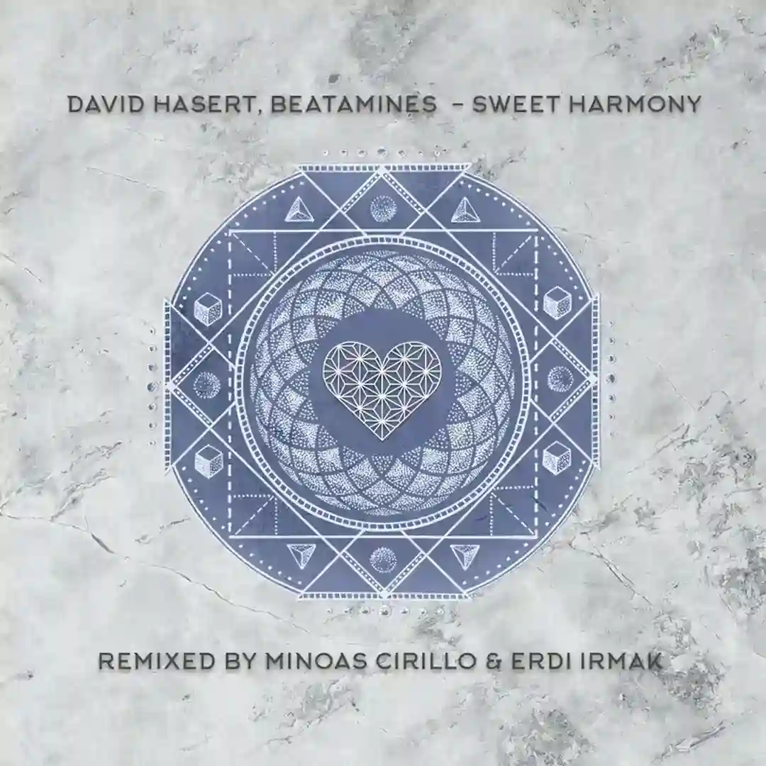 Sweet Harmony (Erdi Irmak Remix) cover