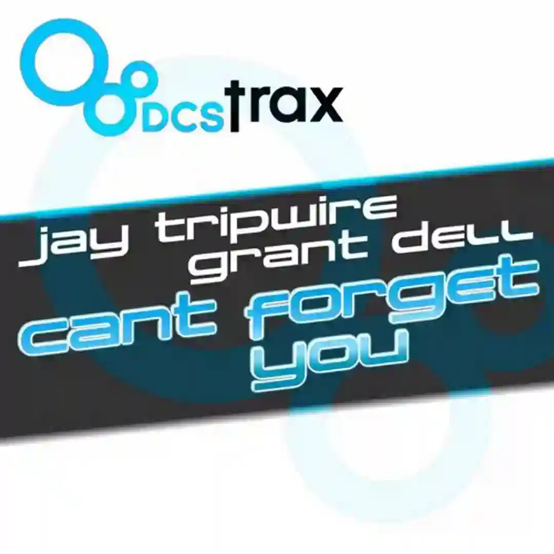 Can't Forget You (Dub Mix) cover