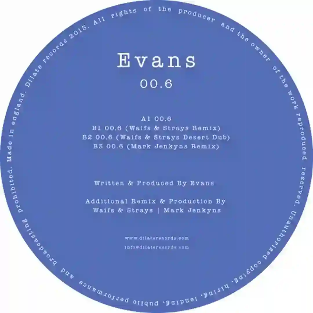 00.6 (Waifs & Strays Desert Dub) cover