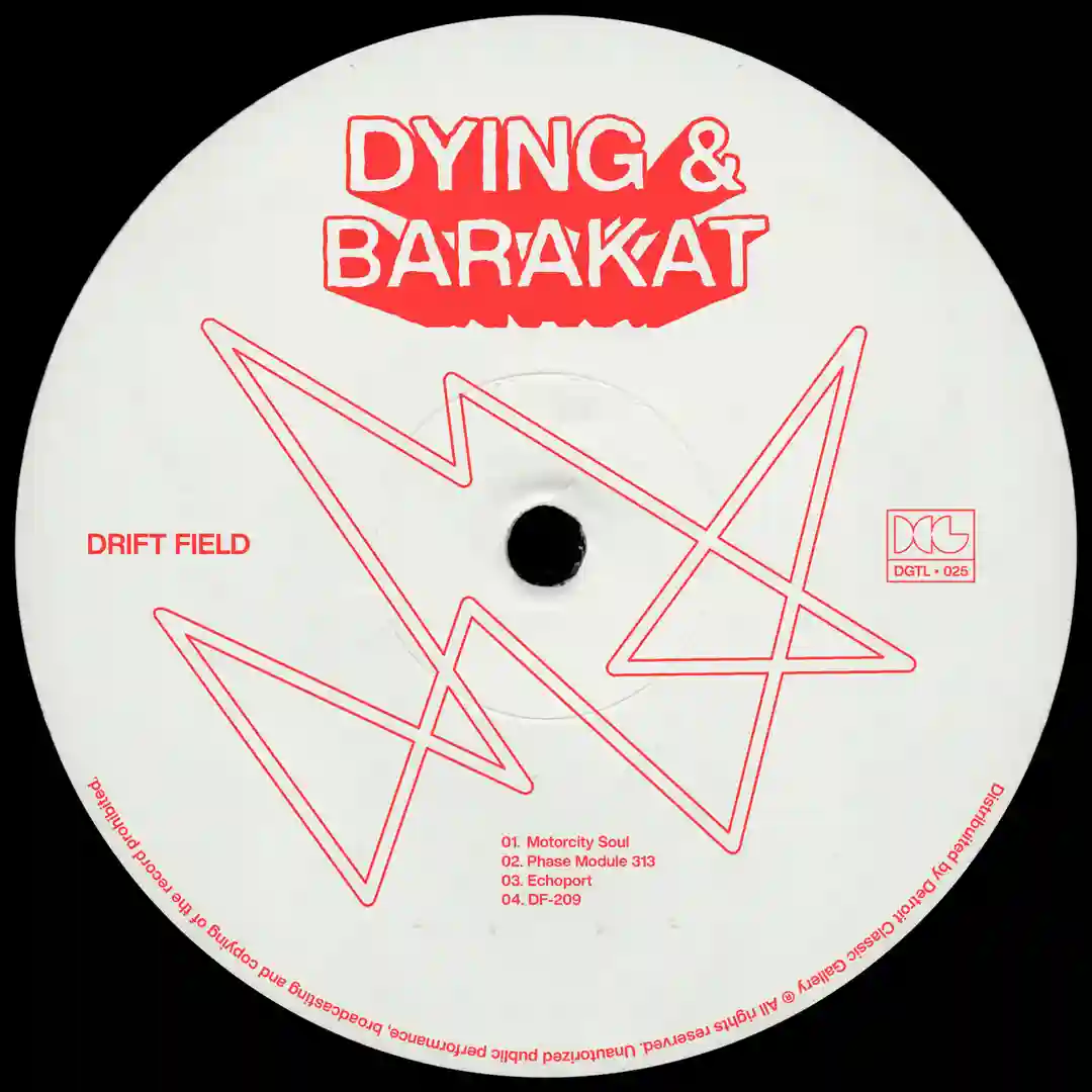 DF-209 (Original Mix) cover