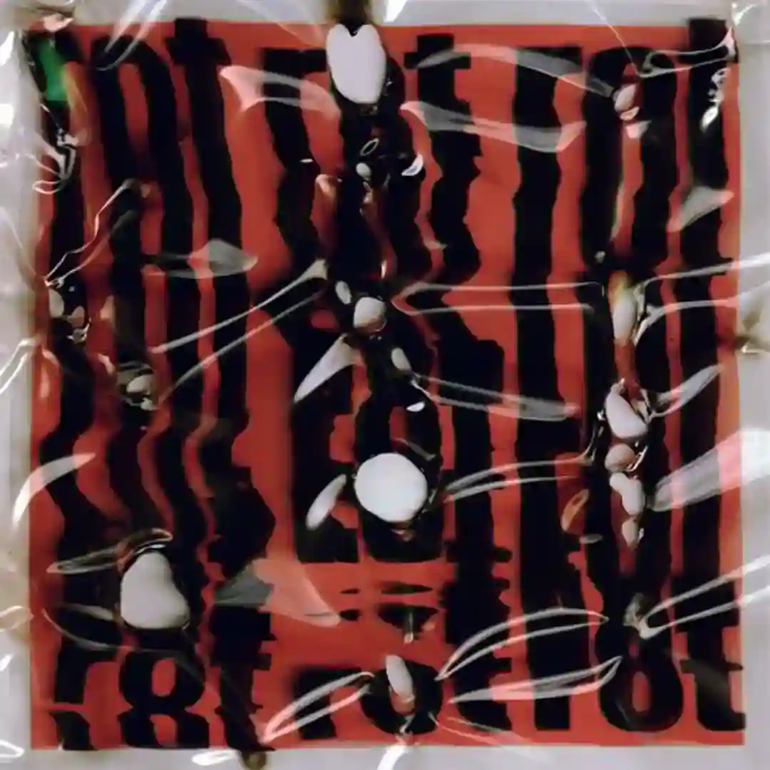 Rot (Remixes) cover