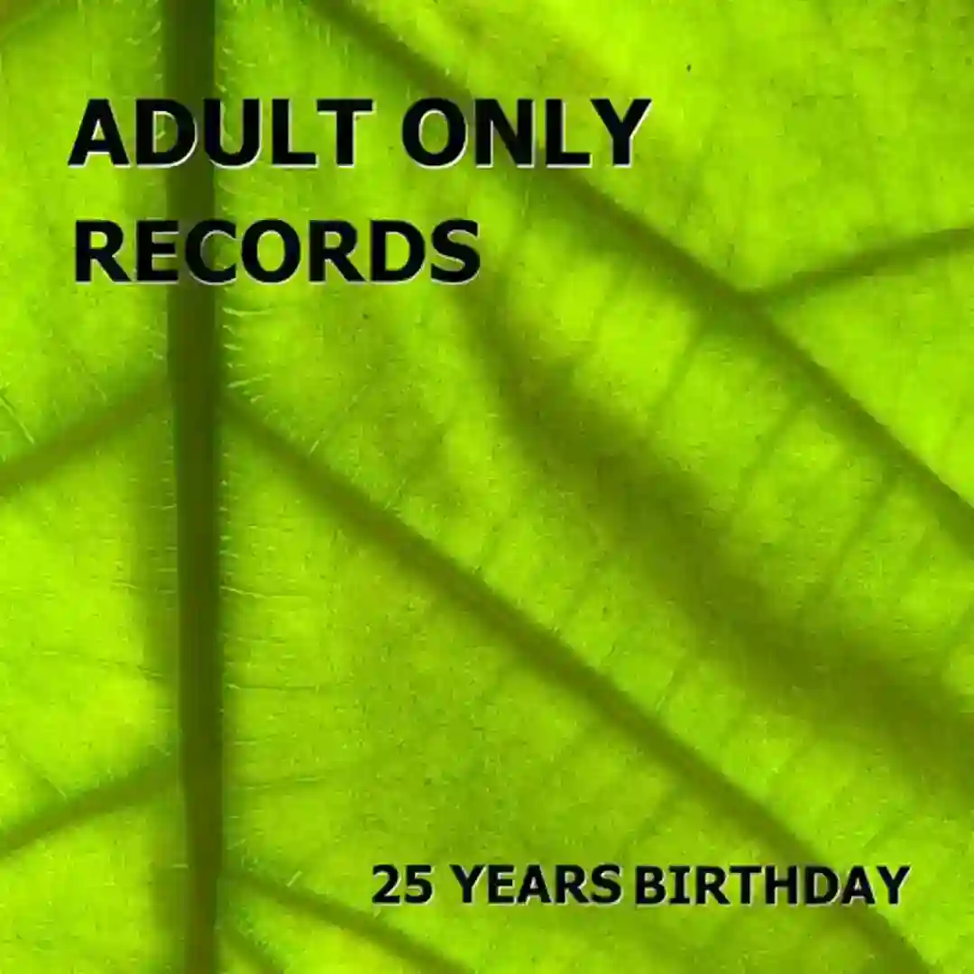 Adult Only Records 25 Years Birthday cover