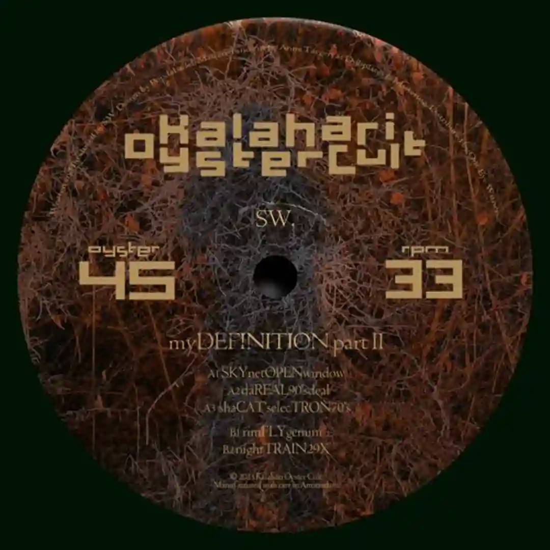 rimFLYgemini cover
