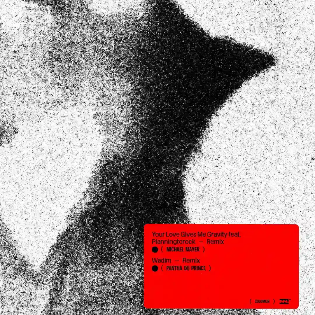 Wadim (Pantha du Prince Remix) cover