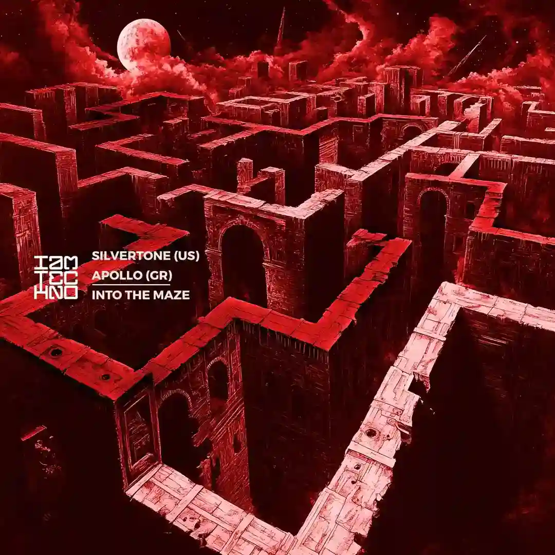 Into the Maze (Original Mix) cover