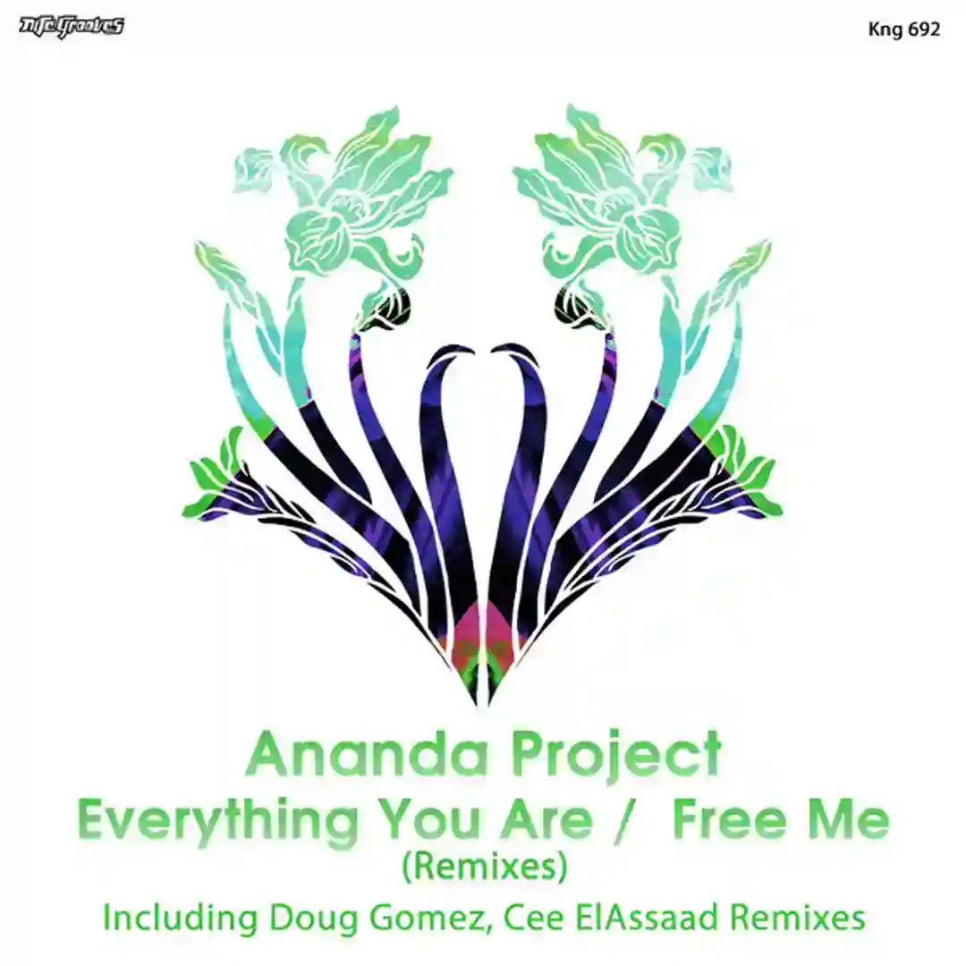 Everything You Are -  Free Me (Remixes) cover