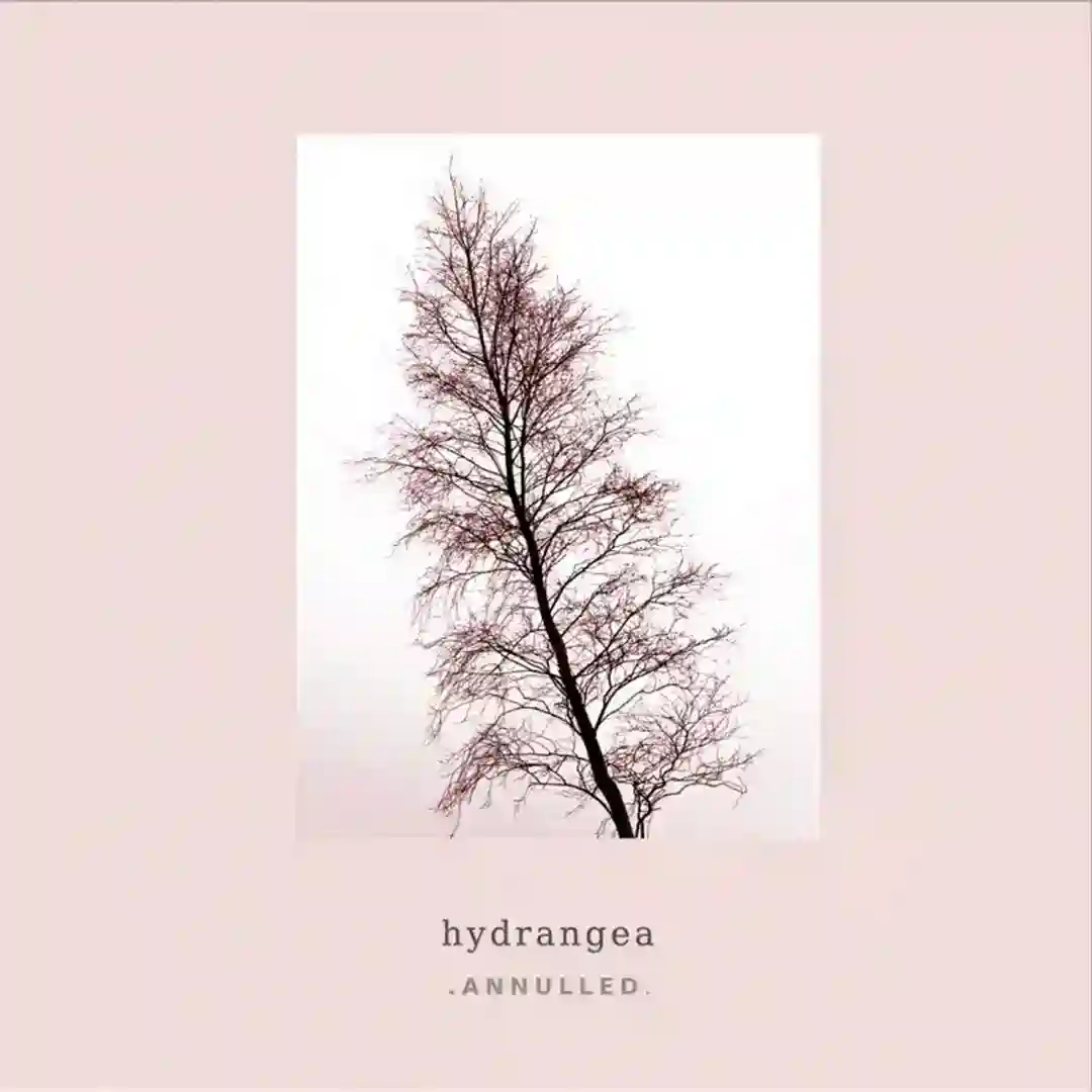 Forest Floor (Original Mix) cover