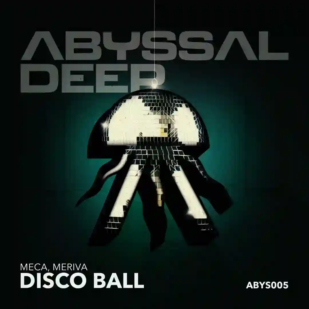 Disco Ball cover