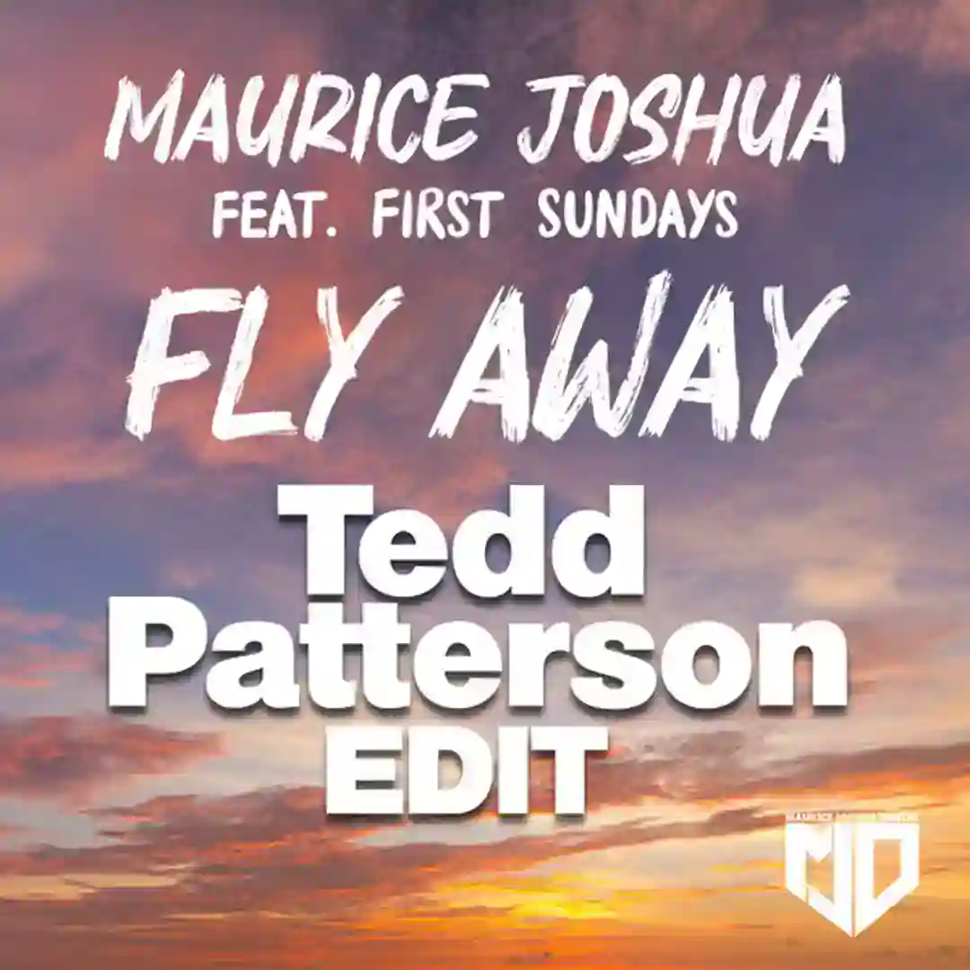 Fly Away (Tedd Patterson Mixes) cover