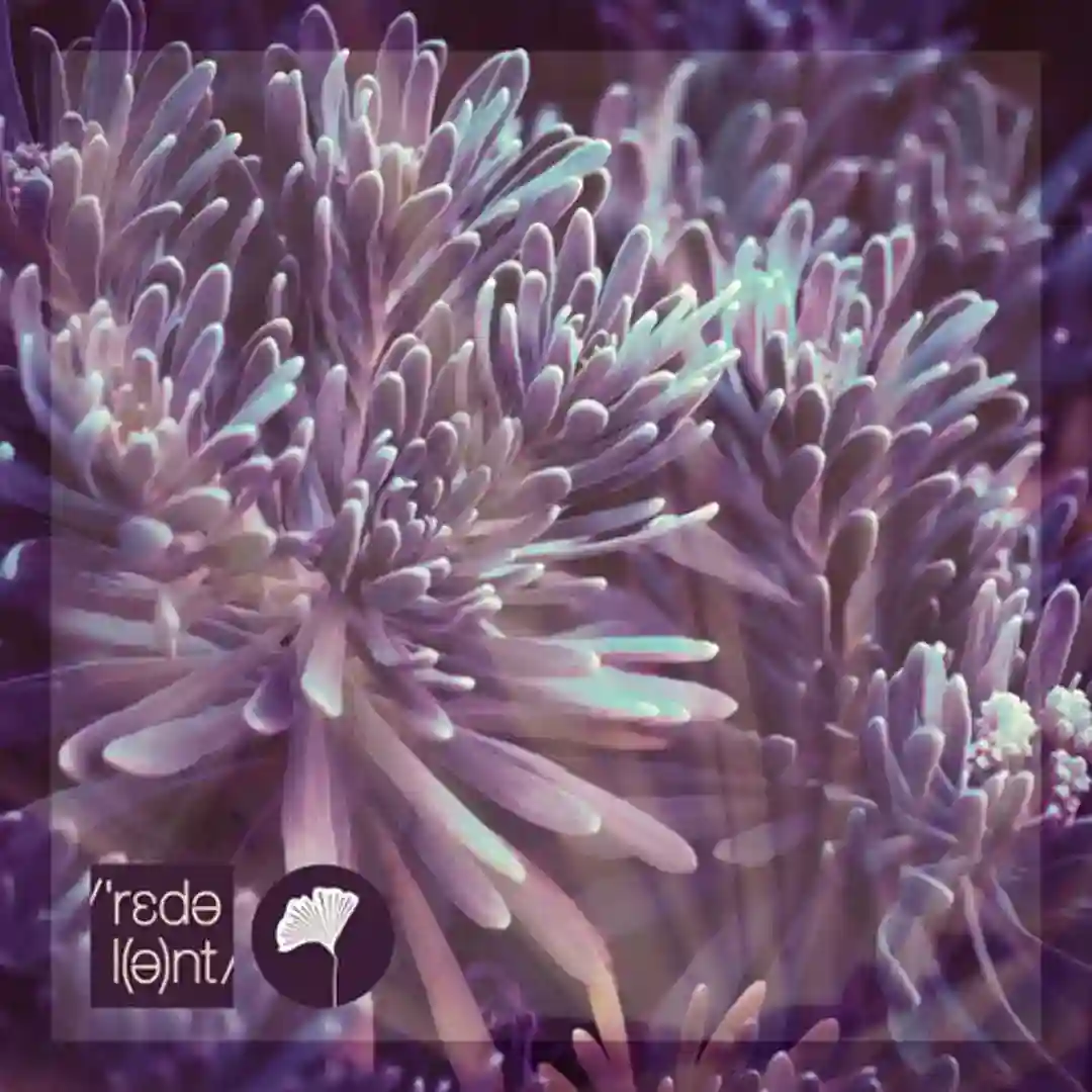 Soy Como Soy (Mario Bazouri Remix) cover