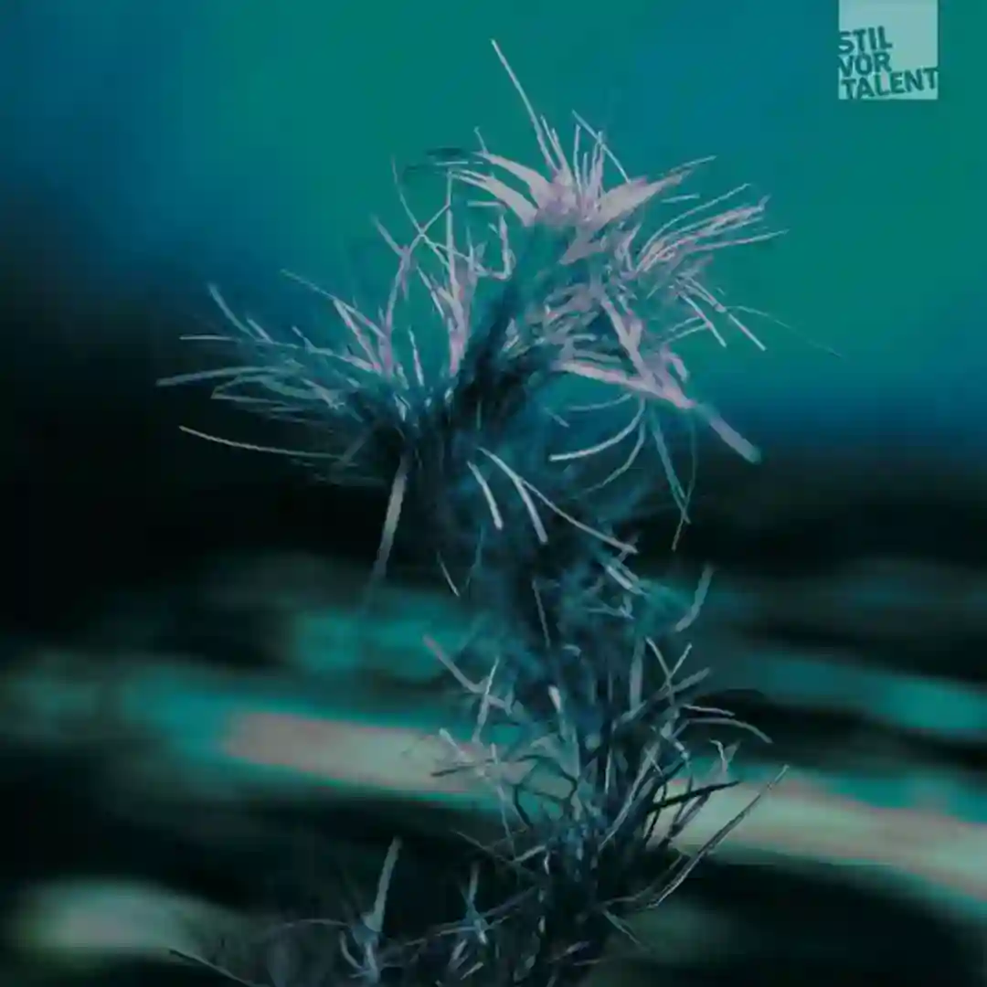 Mantra cover