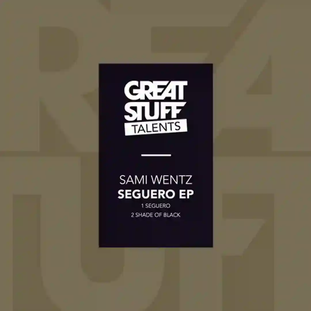 Seguero (Original Mix) cover