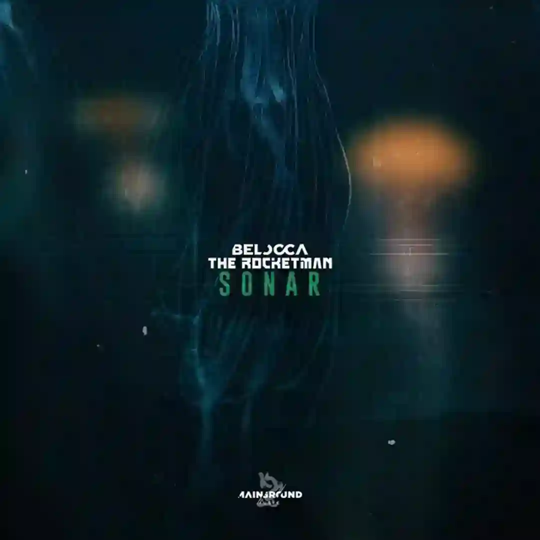Sonar cover
