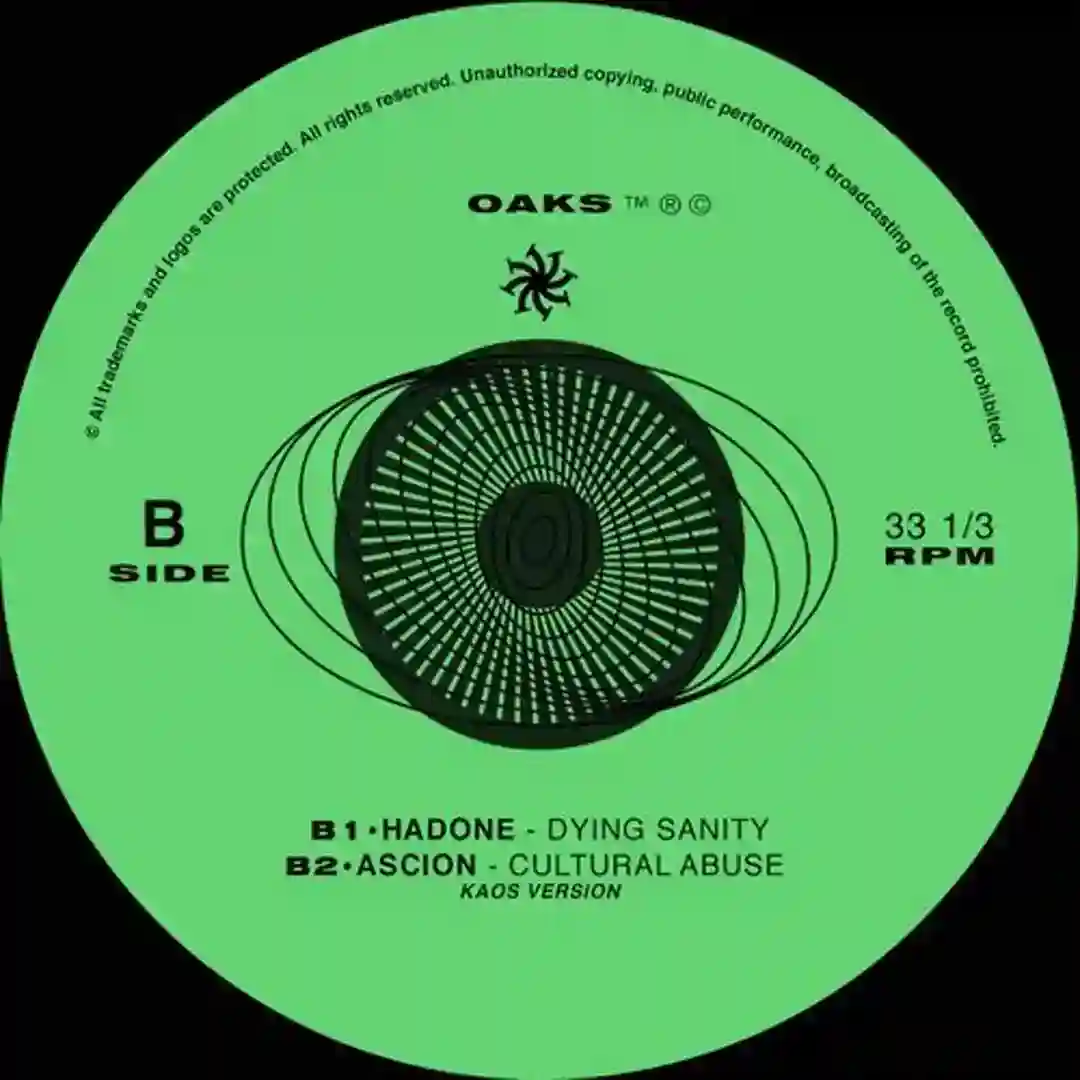 Dying Sanity cover