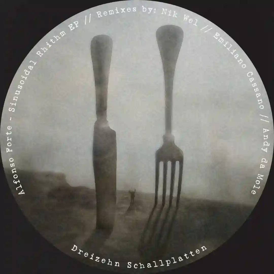 Sinusoidal Rhithm (Nik Wel Remix) cover