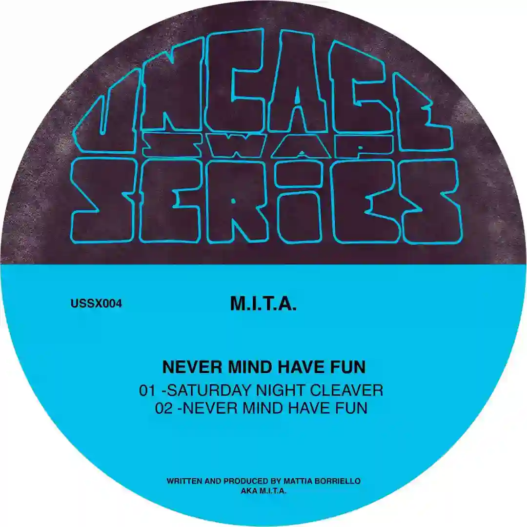 Never Mind Have Fun (Original Mix) cover