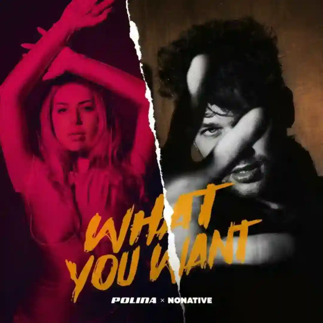 What You Want cover