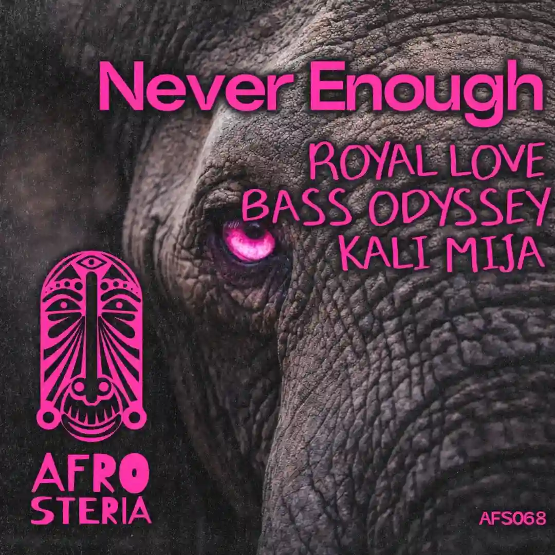 Never Enough (Original Mix) cover