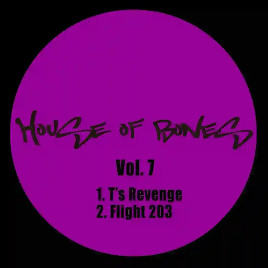 T's Revenge (Original Mix) cover
