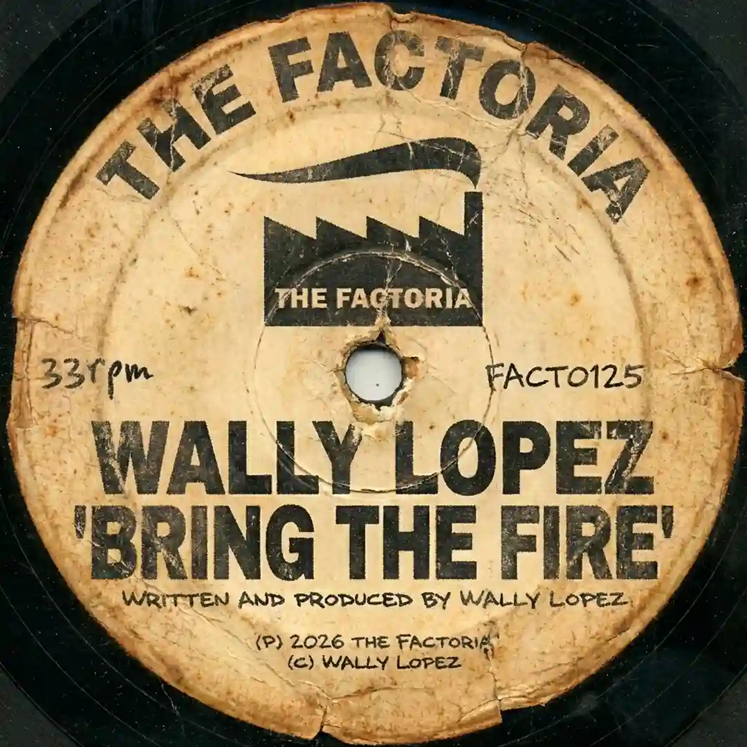 Bring the Fire (Original Mix) cover