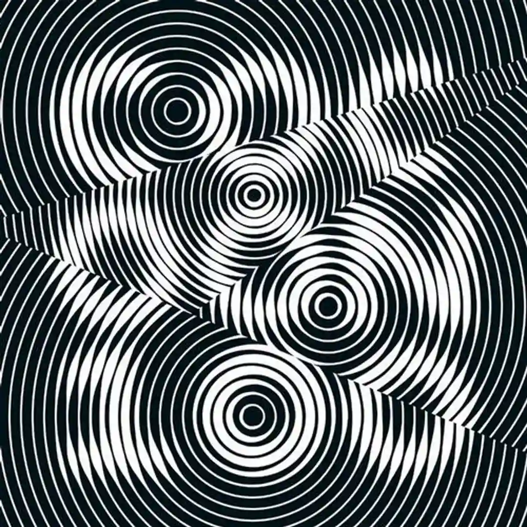 Invisibles Activists cover