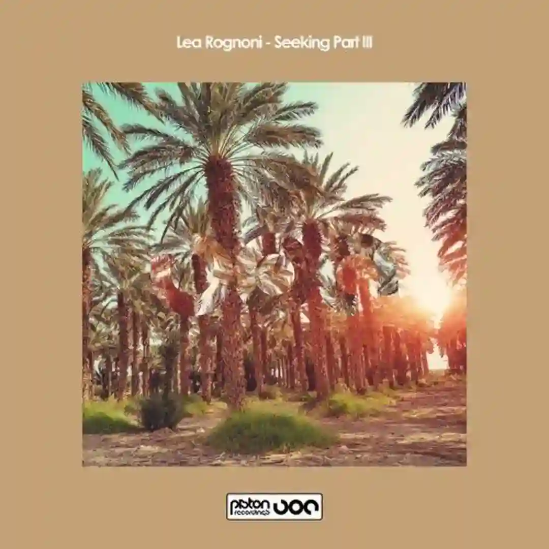 Seeking Part III (Instrumental Mix) cover