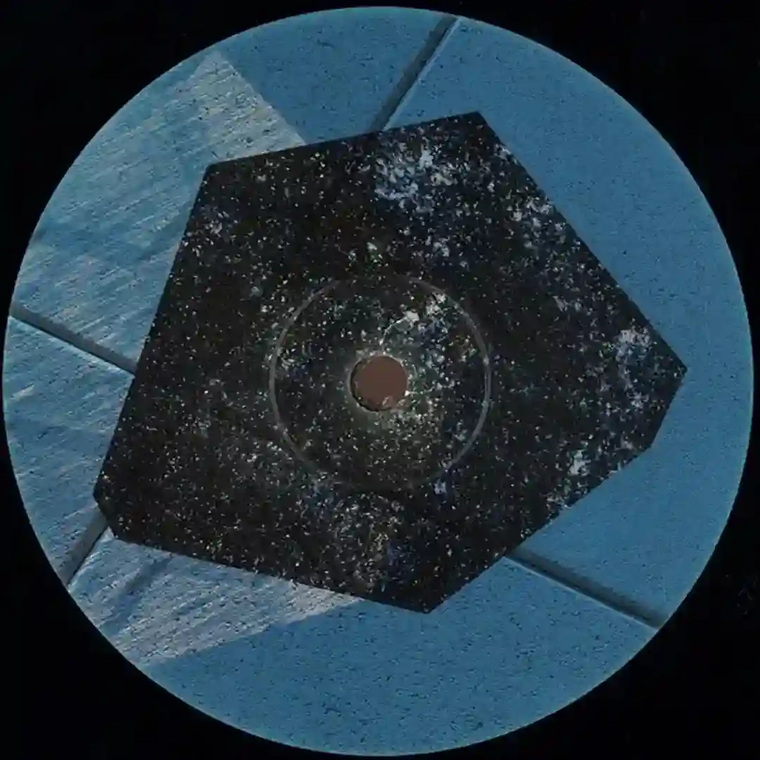 Zou cover