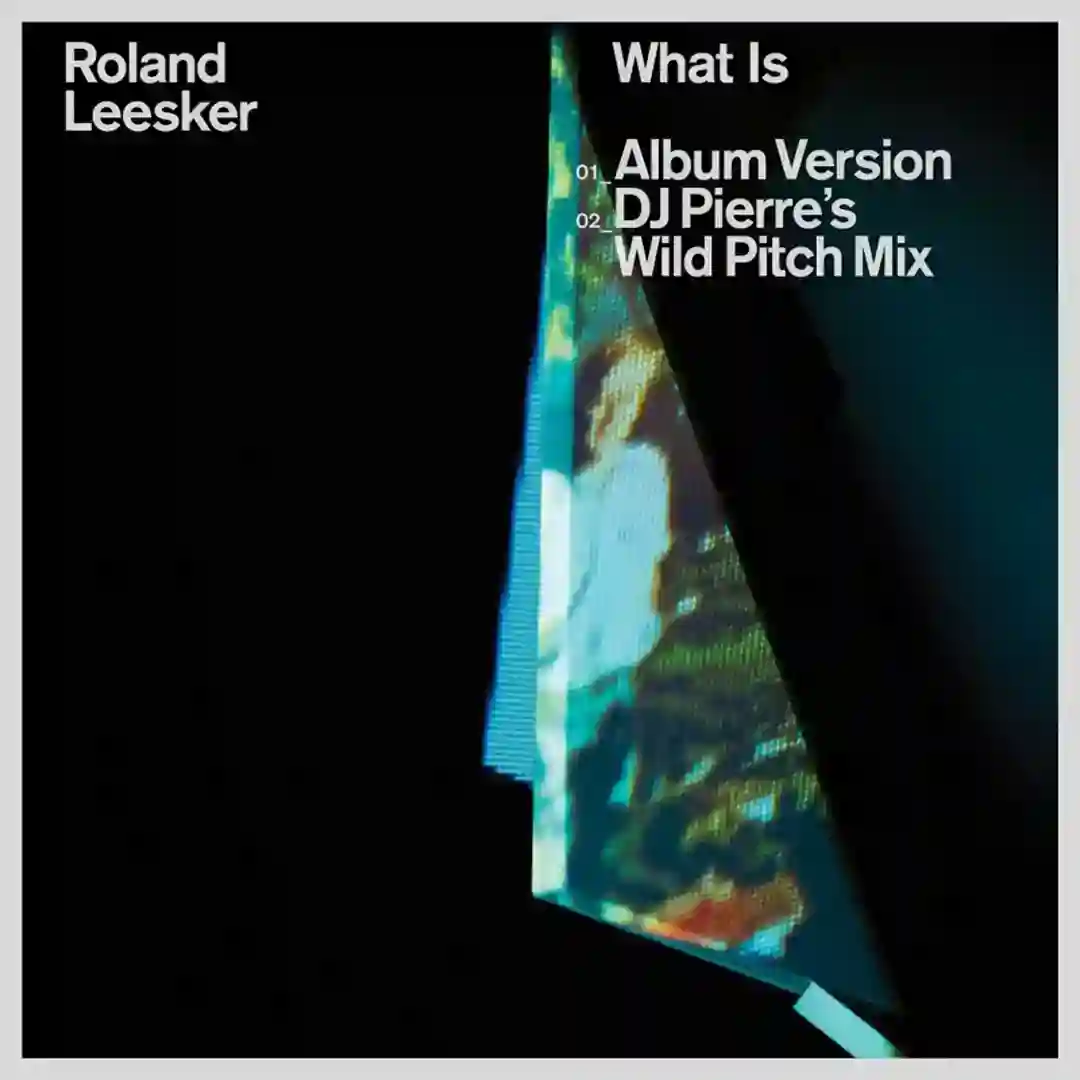 What Is (DJ Pierre's Wild Pitch Mix) cover