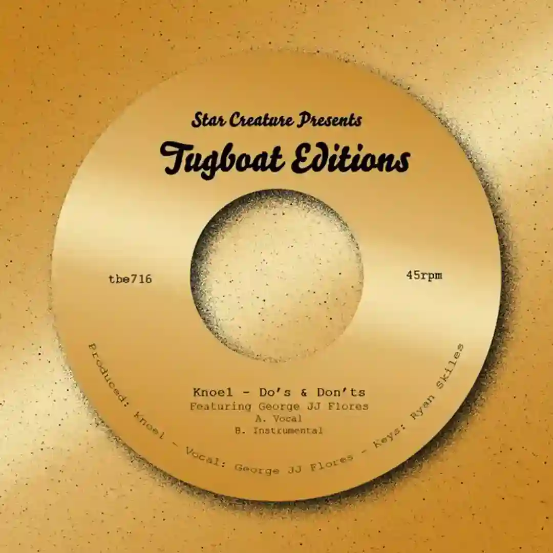 Do's & Don'ts (Instrumental Mix) cover
