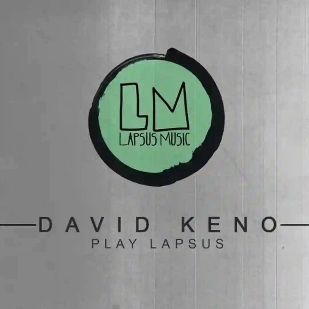Rhythms in My Head (Audio Junkies Mix) cover
