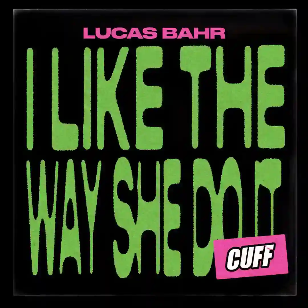I Like The Way She Do It cover
