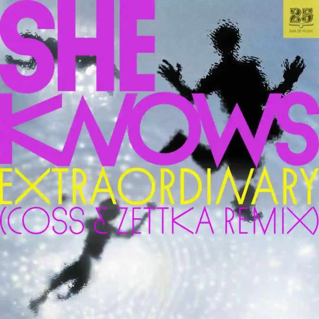Extraordinary (coss x Zettka Remix) cover