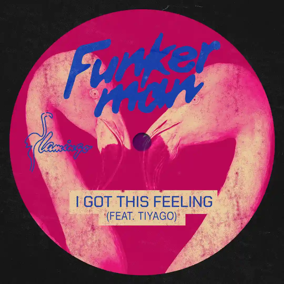 I Got This Feeling (Extended Mix) cover