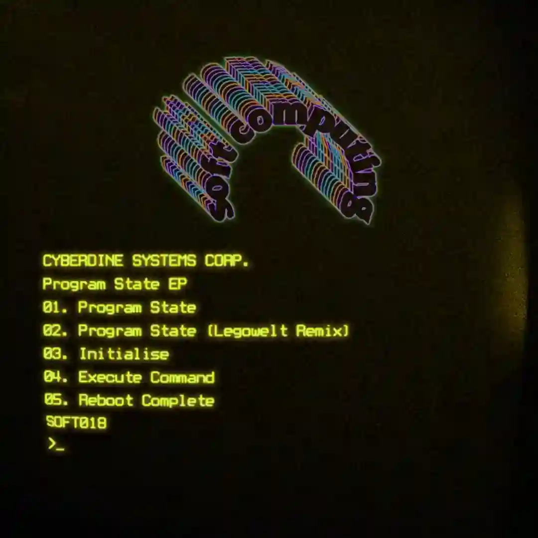 Program State (Legowelt Remix) cover