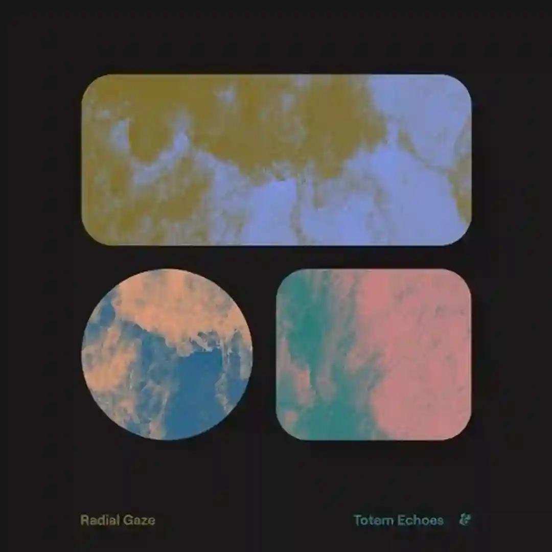 Totem Echoes (Original Mix) cover